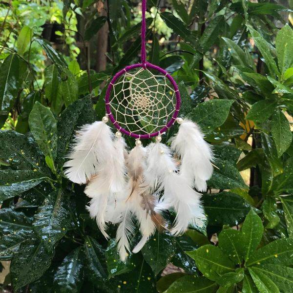 Water Lily Feather Brass Wall & Car Hanging Dreamcatcher